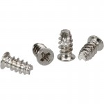 InLine� L�fterschrauben, 5,0x10,0mm, silber, 50...