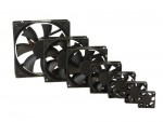 L�fter, Titan, 80x80x15mm, TFD-8015M12Z